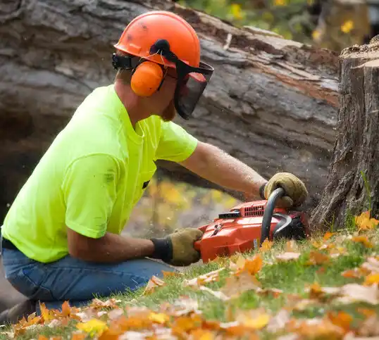 tree services Redwood Falls